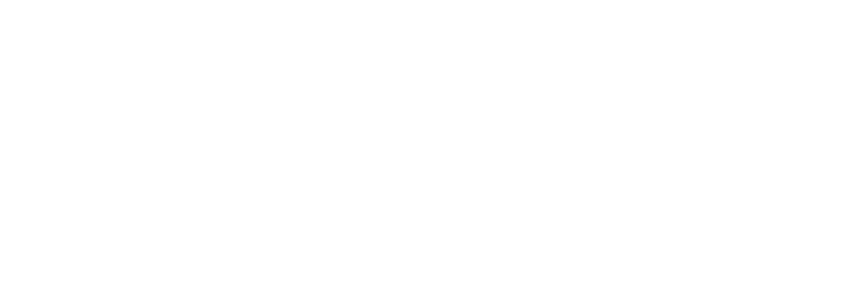 Pulld Noodles